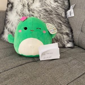 Cactus squishmallow maritza
